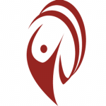 DataVelocity's logo