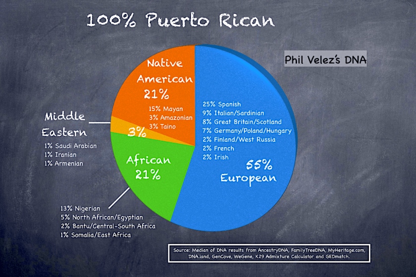 PV_DNA_Pie_Chart